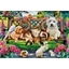 Puzzle 1000 pièces Balade au parc