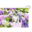Puzzle 1500 pièces Chaton dans son panier