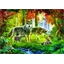 Puzzle 1000 pièces Famille de loups en été